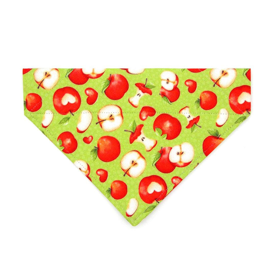 Apple Cat Bandana - "Apple Of My Eye" - Green Bandana for Cat + Small Dog / Teacher, Back To School, Fall / Slide-on Bandana / Over-the-Collar