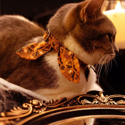 Halloween Cat Collar - "Nevermore" - Gothic Raven Cat Collar / Breakaway Buckle or Non-Breakaway / Edgar Allen Poe, Spooky, Skull & Spiderwebs / Cat, Kitten + Small Dog Sizes