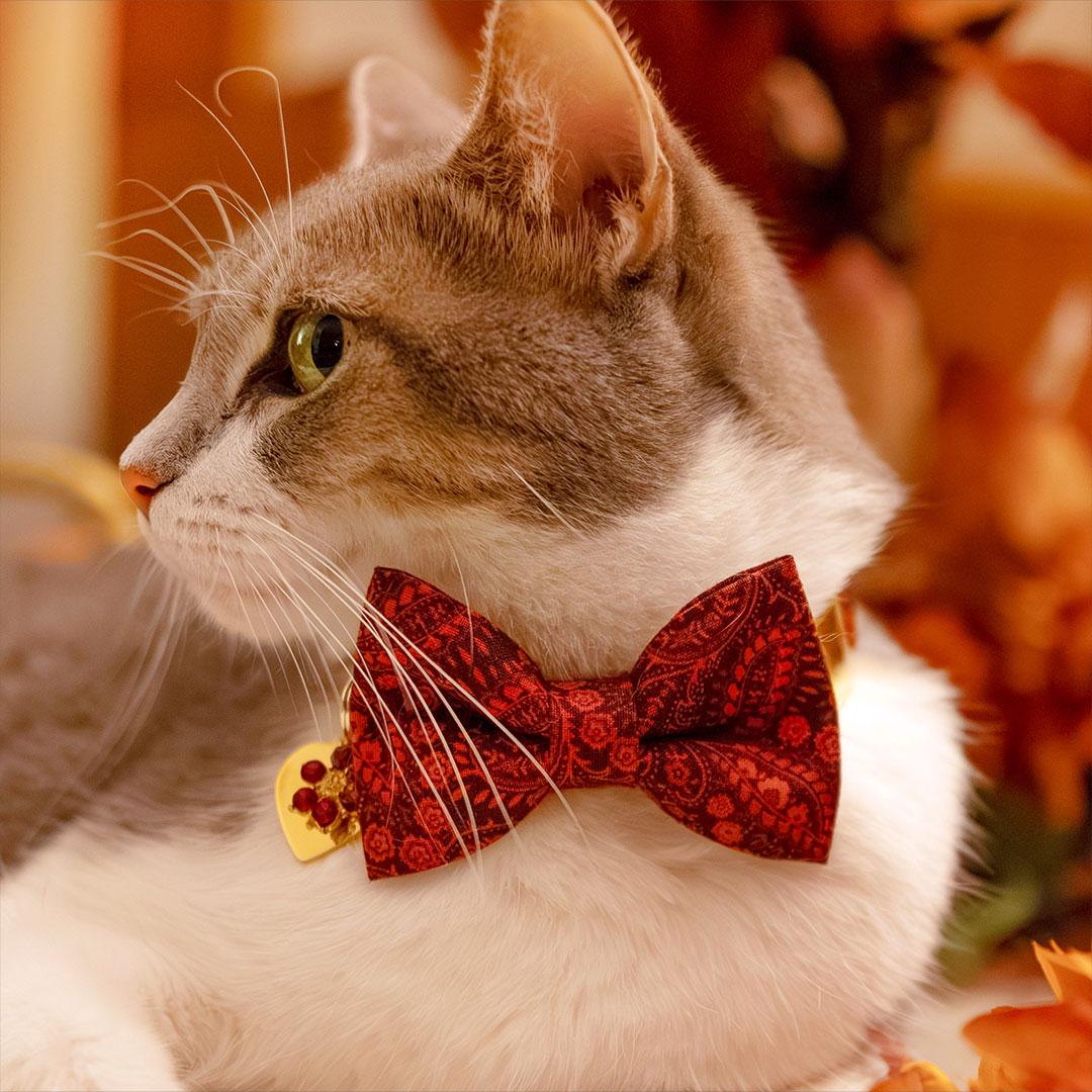 Cat Collar - "Tapestry" - Burgundy Red Paisley Cat Collar / Fall, Thanksgiving, Winter, Holiday / Breakaway Buckle or Non-Breakaway / Cat, Kitten + Small Dog Sizes