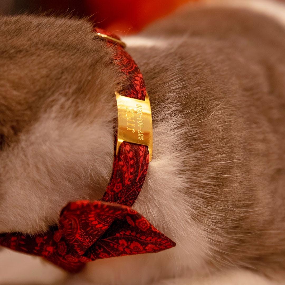 Cat Collar - "Tapestry" - Burgundy Red Paisley Cat Collar / Fall, Thanksgiving, Winter, Holiday / Breakaway Buckle or Non-Breakaway / Cat, Kitten + Small Dog Sizes