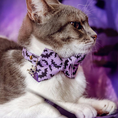 Bat Cat Bow Tie - "Batty Babe - Purple" - Lilac Halloween Bow Tie for Cat Collar / Spooky, Cute, Girly / Cat, Kitten + Small Dog Bowtie