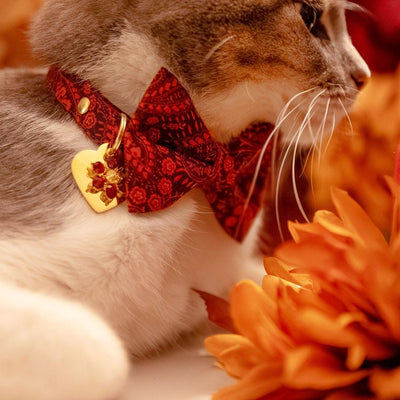 Paisley Cat Bow Tie - "Tapestry" - Burgundy Red Bow Tie for Cat Collar / Fall, Thanksgiving, Holiday, Wedding / Cat, Kitten + Small Dog Bowtie