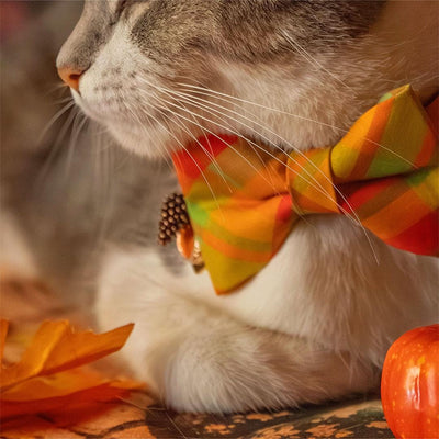 Fall Bow Tie Cat Collar Set - "Cider Hill" - Red Green Orange Plaid Cat Collar with Bow Tie / Autumn, Thanksgiving / Cat, Kitten, Small Dog Sizes