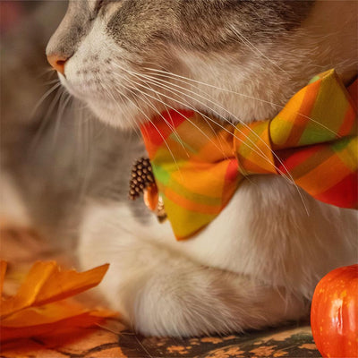 Fall Cat Bow Tie - "Cider Hill" - Orange Plaid Bow Tie for Cat Collar / Autumn, Thanksgiving, Harvest / Cat, Kitten + Small Dog Bowtie