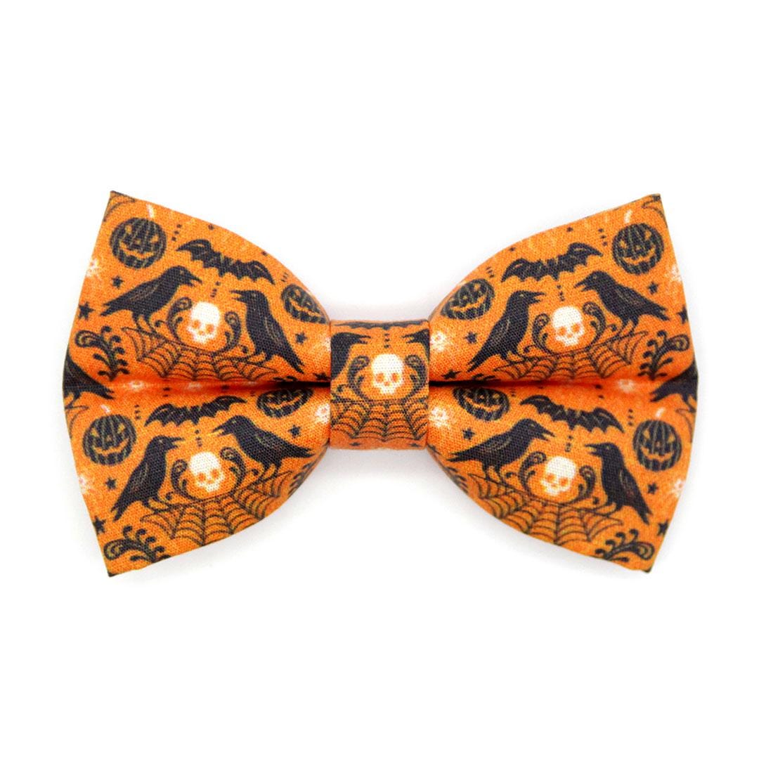 Raven Cat Bow Tie - "Nevermore" - Orange Halloween Bow Tie for Cat Collar / Gothic, Spiderweb, Edgar Allen Poe / Cat, Kitten + Small Dog Bowtie