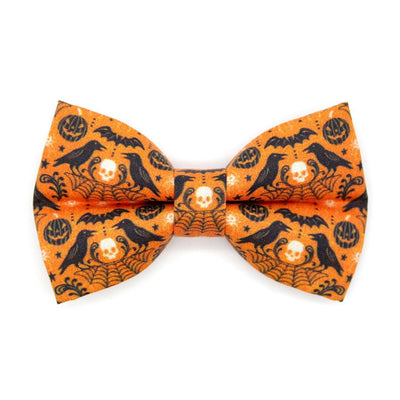Raven Cat Bow Tie - "Nevermore" - Orange Halloween Bow Tie for Cat Collar / Gothic, Spiderweb, Edgar Allen Poe / Cat, Kitten + Small Dog Bowtie