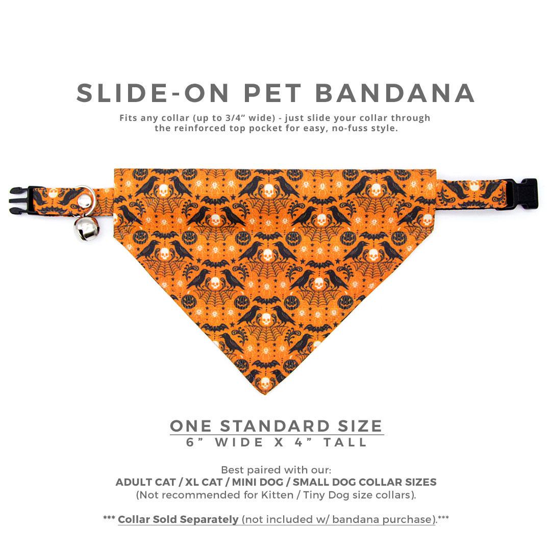 Raven Cat Bandana - "Nevermore" - Orange Halloween Bandana for Cat + Small Dog / Spiderweb, Skull, Gothic / Slide-on Bandana / Over-the-Collar