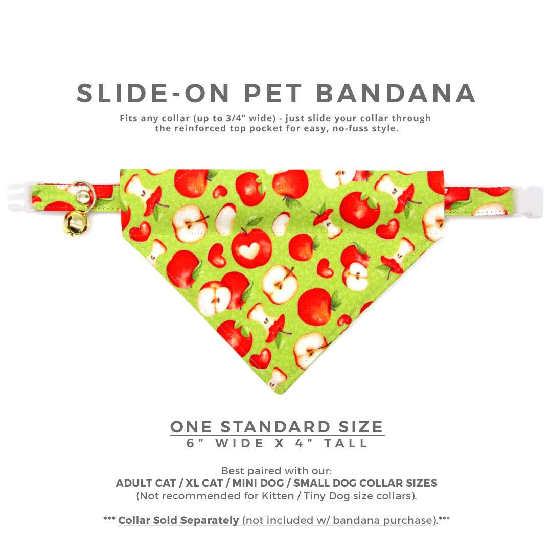Apple Cat Bandana - "Apple Of My Eye" - Green Bandana for Cat + Small Dog / Teacher, Back To School, Fall / Slide-on Bandana / Over-the-Collar