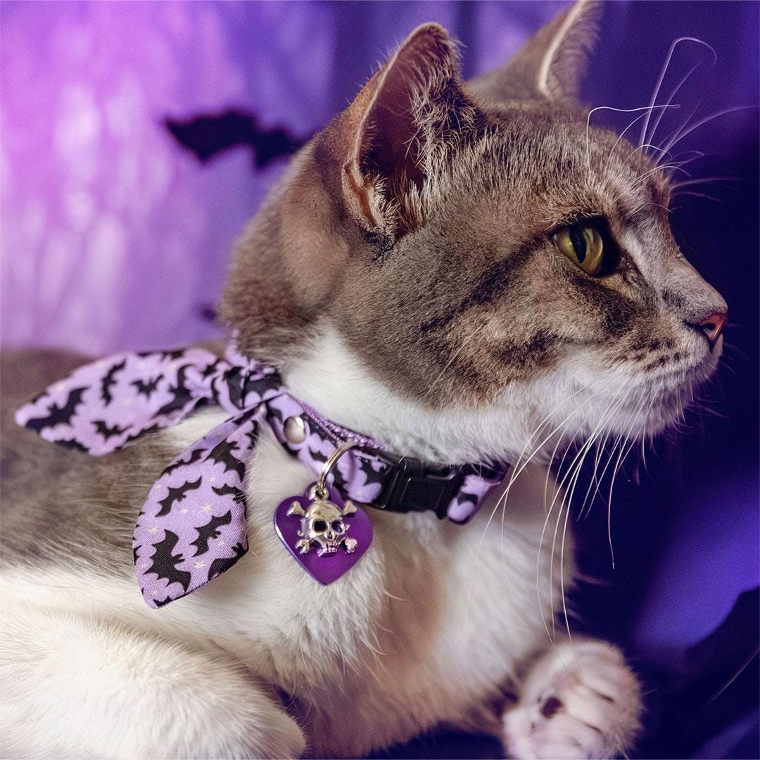 Halloween Cat Collar - "Batty Babe - Purple" - Spooky Cute Lilac Bat Cat Collar / Breakaway Buckle or Non-Breakaway / Cat, Kitten + Small Dog Sizes