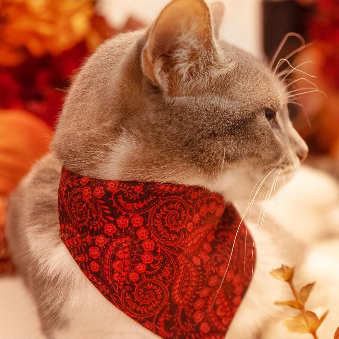 Cat Collar - "Tapestry" - Burgundy Red Paisley Cat Collar / Fall, Thanksgiving, Winter, Holiday / Breakaway Buckle or Non-Breakaway / Cat, Kitten + Small Dog Sizes