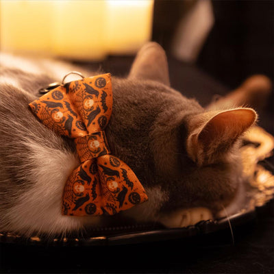 Halloween Bow Tie Cat Collar Set - "Nevermore" - Skull & Raven Cat Collar with Bow Tie / Spooky, Gothic, Elegant, Edgar Allen Poe / Cat, Kitten, Small Dog Sizes