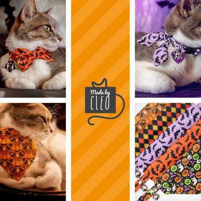 Halloween Cat Bandana - "Haunted Harlequin" - Jester Bandana for Cat + Small Dog / Joker, Clown, Carnival / Slide-on Bandana / Over-the-Collar