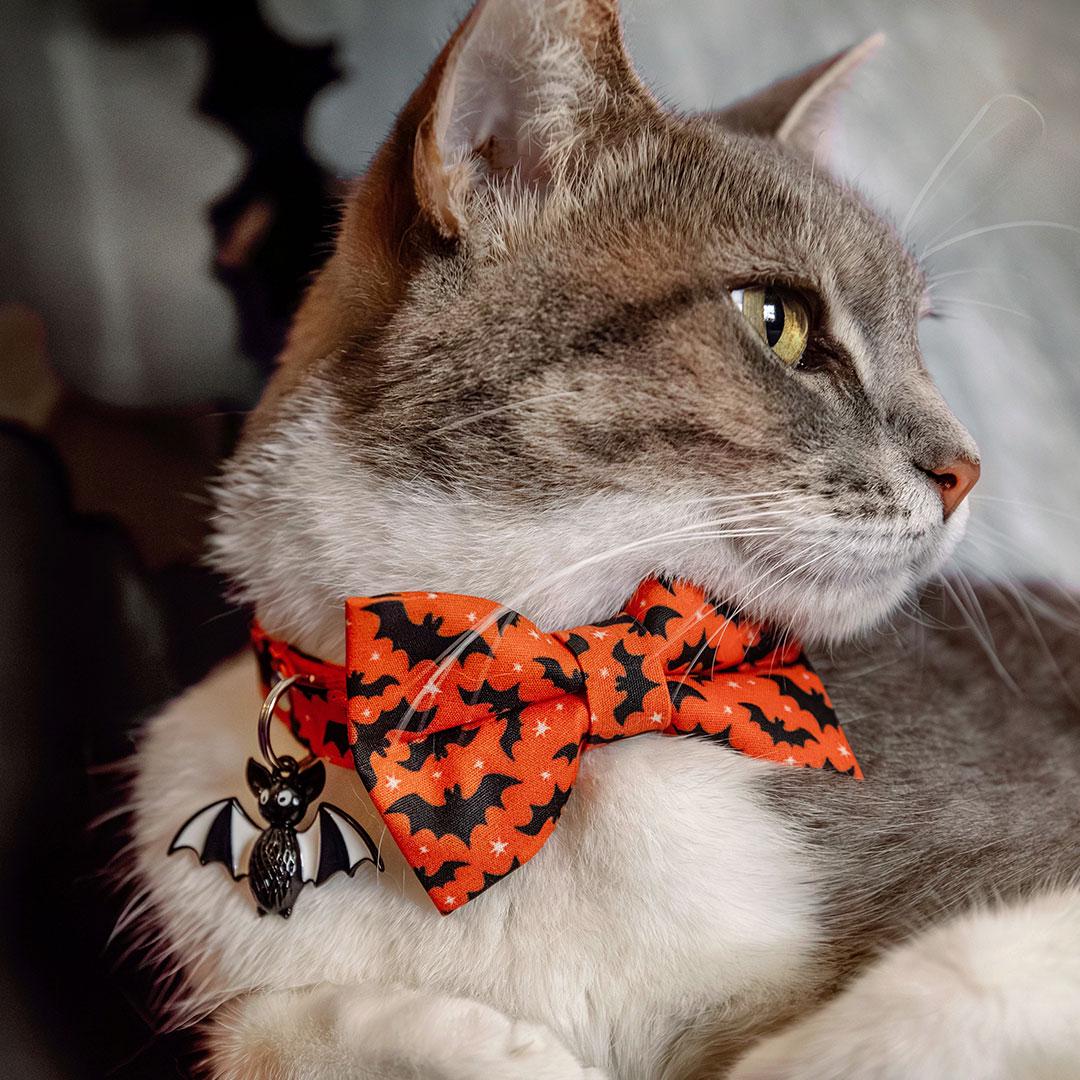 Halloween Bow Tie Cat Collar Set - "Batty Babe - Orange" - Spooky Black & Orange Bat Cat Collar with Bow Tie / Cat, Kitten, Small Dog Sizes