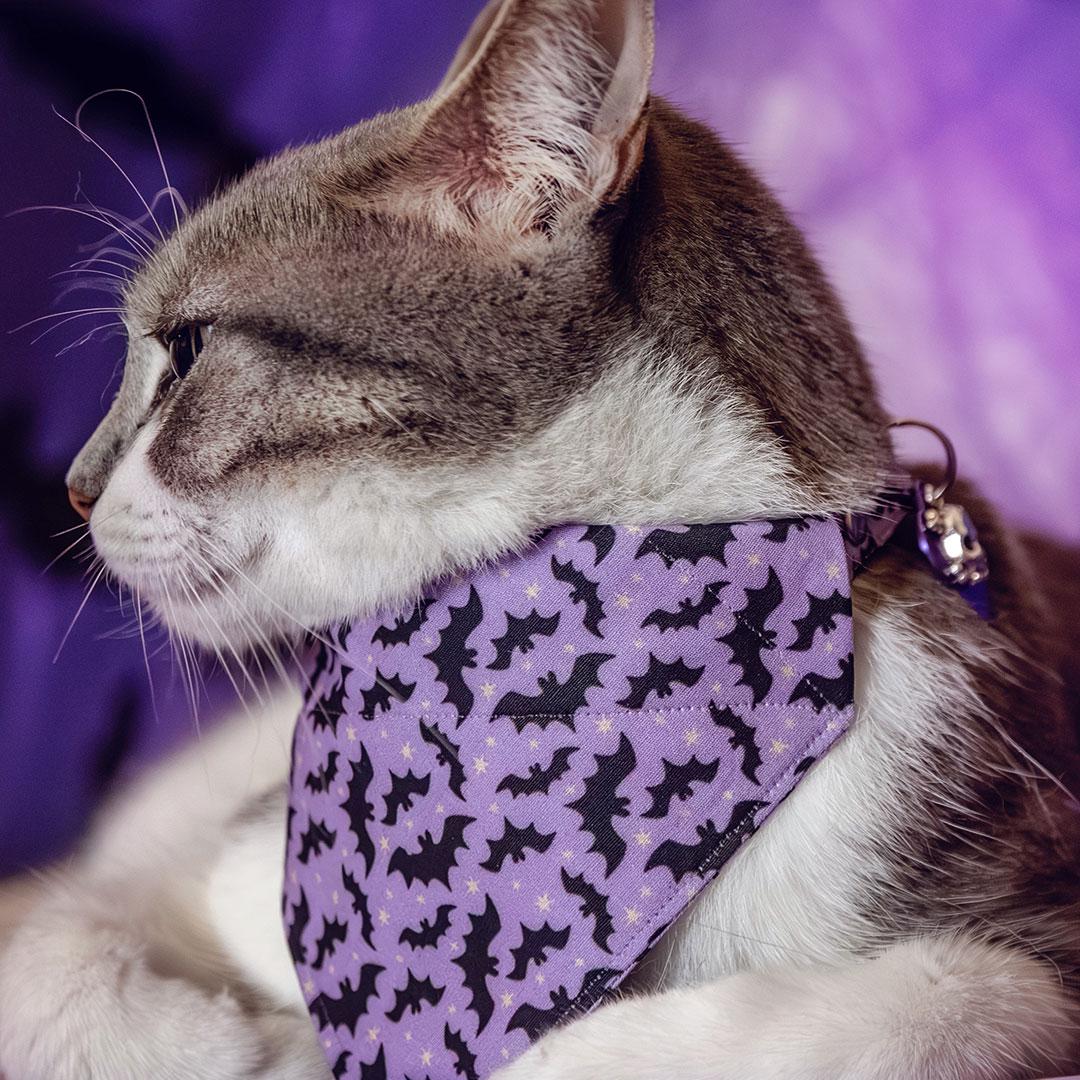 Bat Cat Bandana - "Batty Babe - Purple" - Cute Halloween Bandana for Cat + Small Dog / Girl Cat, Gothic / Slide-on Bandana / Over-the-Collar