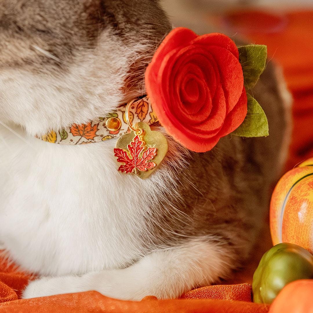 Cat Collar + Flower Set - "Autumn Aura" - Fall Maple Leaf Cat Collar w/ Orange Felt Flower (Detachable) / Cat, Kitten + Small Dog Sizes
