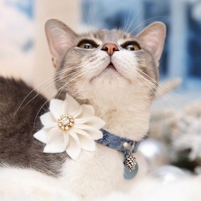 Solstice Cat Collar - "Blue Spruce" - Snowy Winter Pine Blue Cat Collar / Breakaway Buckle or Non-Breakaway / Cat, Kitten + Small Dog Sizes