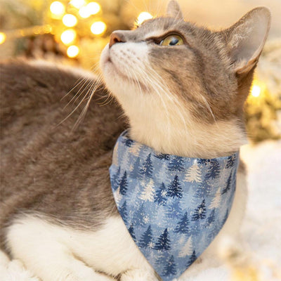 Solstice Cat Collar - "Blue Spruce" - Snowy Winter Pine Blue Cat Collar / Breakaway Buckle or Non-Breakaway / Cat, Kitten + Small Dog Sizes