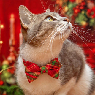Holiday Bow Tie Cat Collar Set - "Cranberry Clove" - Red Green Christmas Tartan Plaid Cat Collar with Bow Tie / Cat, Kitten, Small Dog Sizes - Kitten (6-10) / Breakaway / Gold