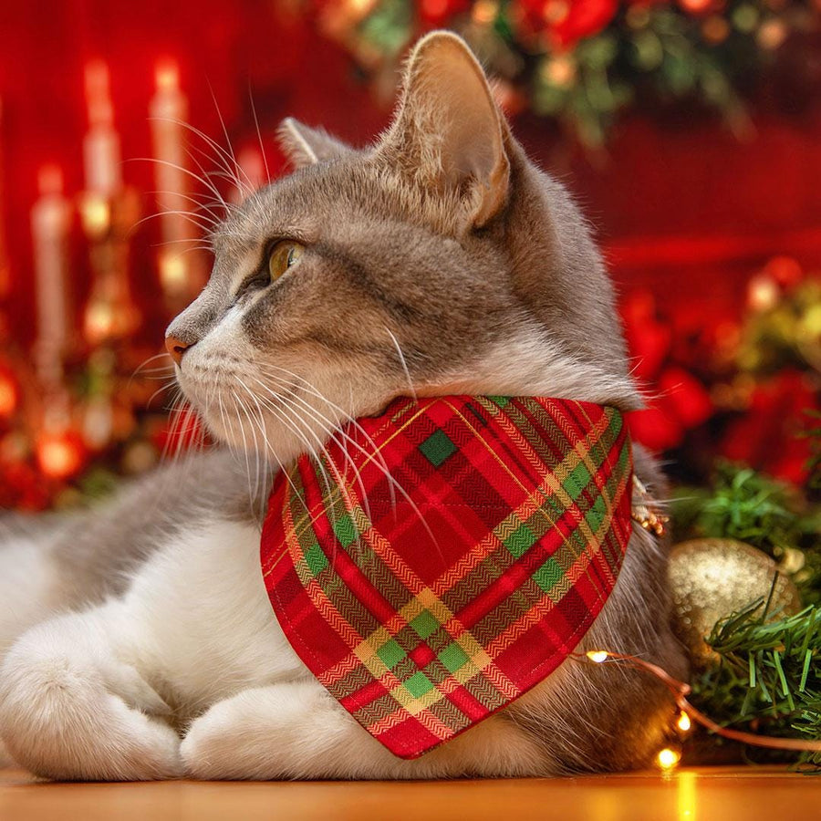 Holiday Cat Bandana - "Cranberry Clove" - Christmas Red Tartan Plaid Bandana for Cat + Small Dog / Slide-on Bandana / Over-the-Collar