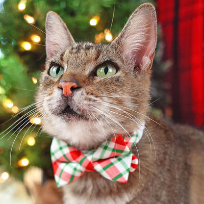 Holiday Cat Bow Tie - "Jolly Plaid" - Red & Green Christmas Plaid Bow Tie for Cat Collar / Cat, Kitten + Small Dog Bowtie