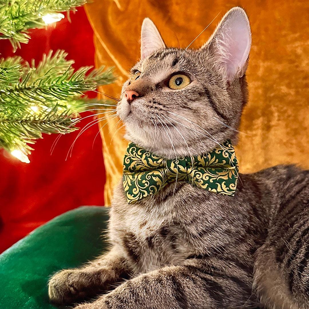 Cat Collar and Bunny Ear Bow Set - "Royal Emerald" - Regal Green & Gold Cat Collar w/ Matching Bunny Bow Tie / Tie-On Scarf / Wedding, Holiday / Cat, Kitten + Small Dog Sizes