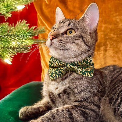 Cat Bandana - "Royal Emerald" - Green & Metallic Gold Bandana for Cat + Small Dog / Wedding, Holiday, Victorian / Slide-on Bandana / Over-the-Collar