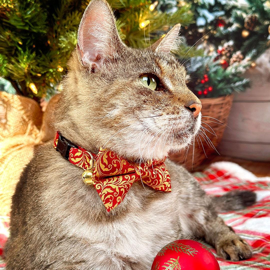 Regal Cat Bow Tie - "Royal Ruby" - Red & Gold Bow Tie for Cat Collar / Wedding, Christmas, Holiday, Victorian / Cat, Kitten + Small Dog Bowtie