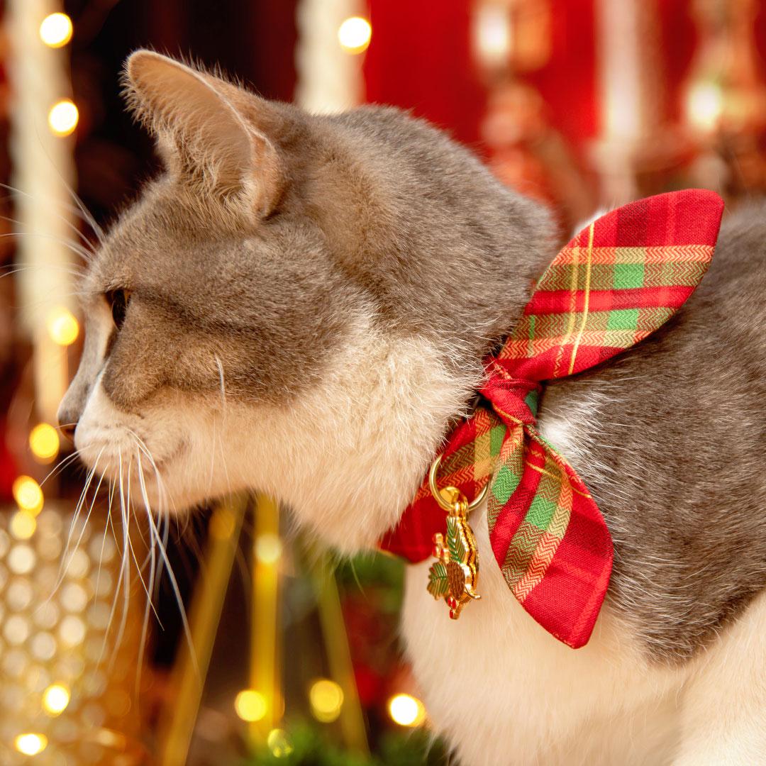 Holiday Plaid Cat Collar - "Cranberry Clove" - Red Christmas Tartan Cat Collar / Breakaway Buckle or Non-Breakaway / Cat, Kitten + Small Dog Sizes