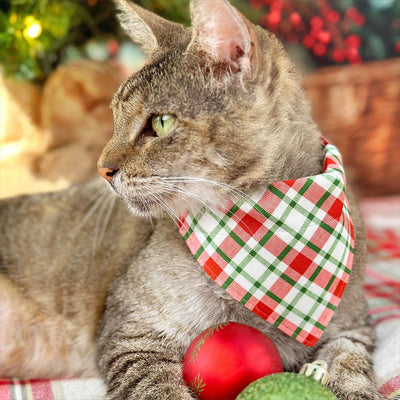 Christmas Cat Collar - "Jolly Plaid" - Red & Green Holiday Cat Collar / Breakaway Buckle or Non-Breakaway / Cat, Kitten + Small Dog Sizes