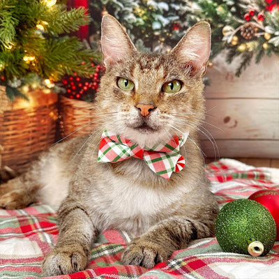 Christmas Cat Collar - "Jolly Plaid" - Red & Green Holiday Cat Collar / Breakaway Buckle or Non-Breakaway / Cat, Kitten + Small Dog Sizes