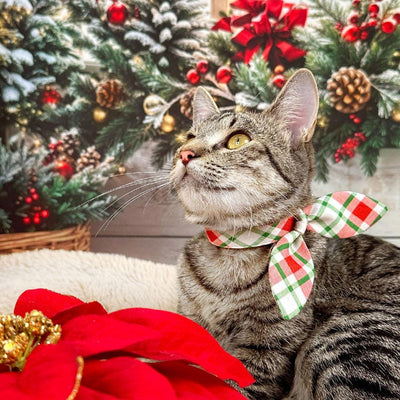 Christmas Cat Collar - "Jolly Plaid" - Red & Green Holiday Cat Collar / Breakaway Buckle or Non-Breakaway / Cat, Kitten + Small Dog Sizes