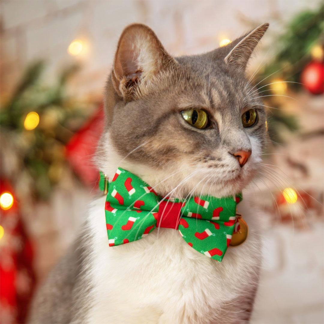 Holiday Bow Tie Cat Collar Set - "Christmas Stockings" - Festive Red Socks on Green Cat Collar with Bow Tie / Cat, Kitten, Small Dog Sizes