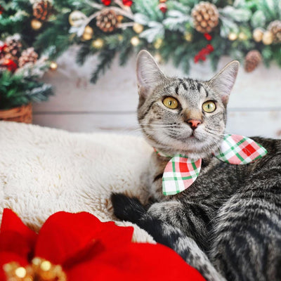 Cat Collar and Bunny Ear Bow Set - "Jolly Plaid" - Red & Green Christmas Plaid Cat Collar w/ Matching Bunny Bow Tie / Tie-On Scarf / Cat, Kitten + Small Dog Sizes