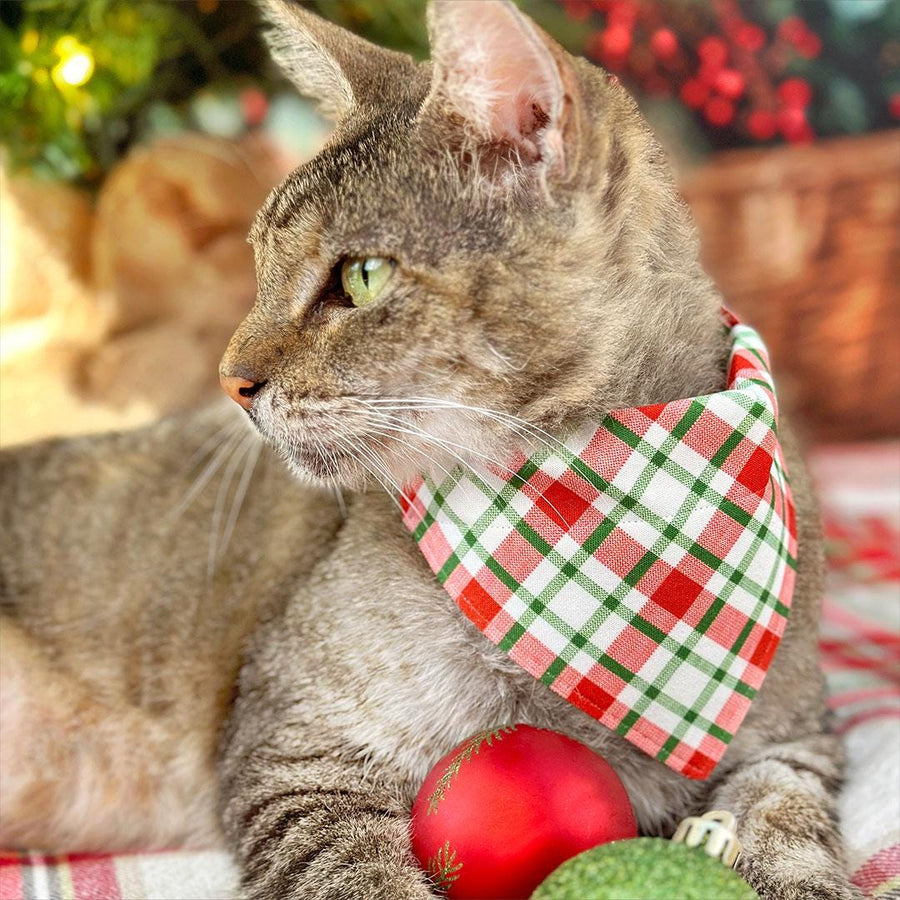 Christmas Cat Bandana - "Jolly Plaid" - Red & Green Holiday Plaid Bandana for Cat + Small Dog / Slide-on Bandana / Over-the-Collar