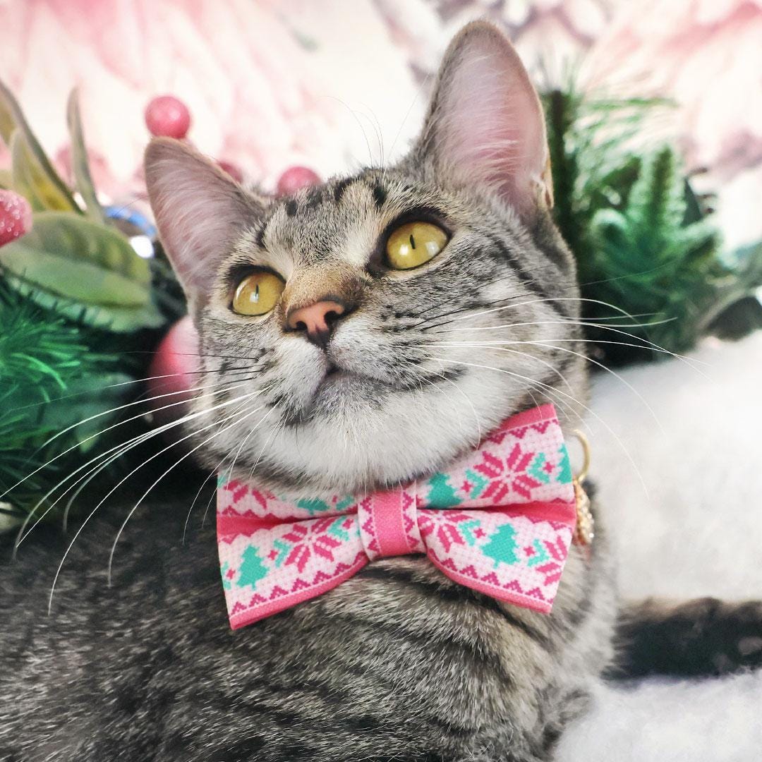 Alpine Cat Bow Tie - "Fair Isle - Pink" - Nordic Winter Sweater Bow Tie for Cat Collar / Cat, Kitten + Small Dog Bowtie