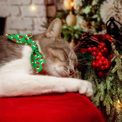 Cat Collar and Bunny Ear Bow Set - "Christmas Stockings" - Red & Green Holiday Cat Collar w/ Matching Bunny Bow Tie / Tie-On Scarf / Cat, Kitten + Small Dog Sizes