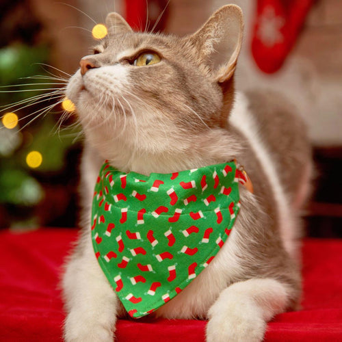 Holiday Cat Bandana - "Christmas Stockings" - Red Socks on Green Bandana for Cat + Small Dog / Slide-on Bandana / Over-the-Collar