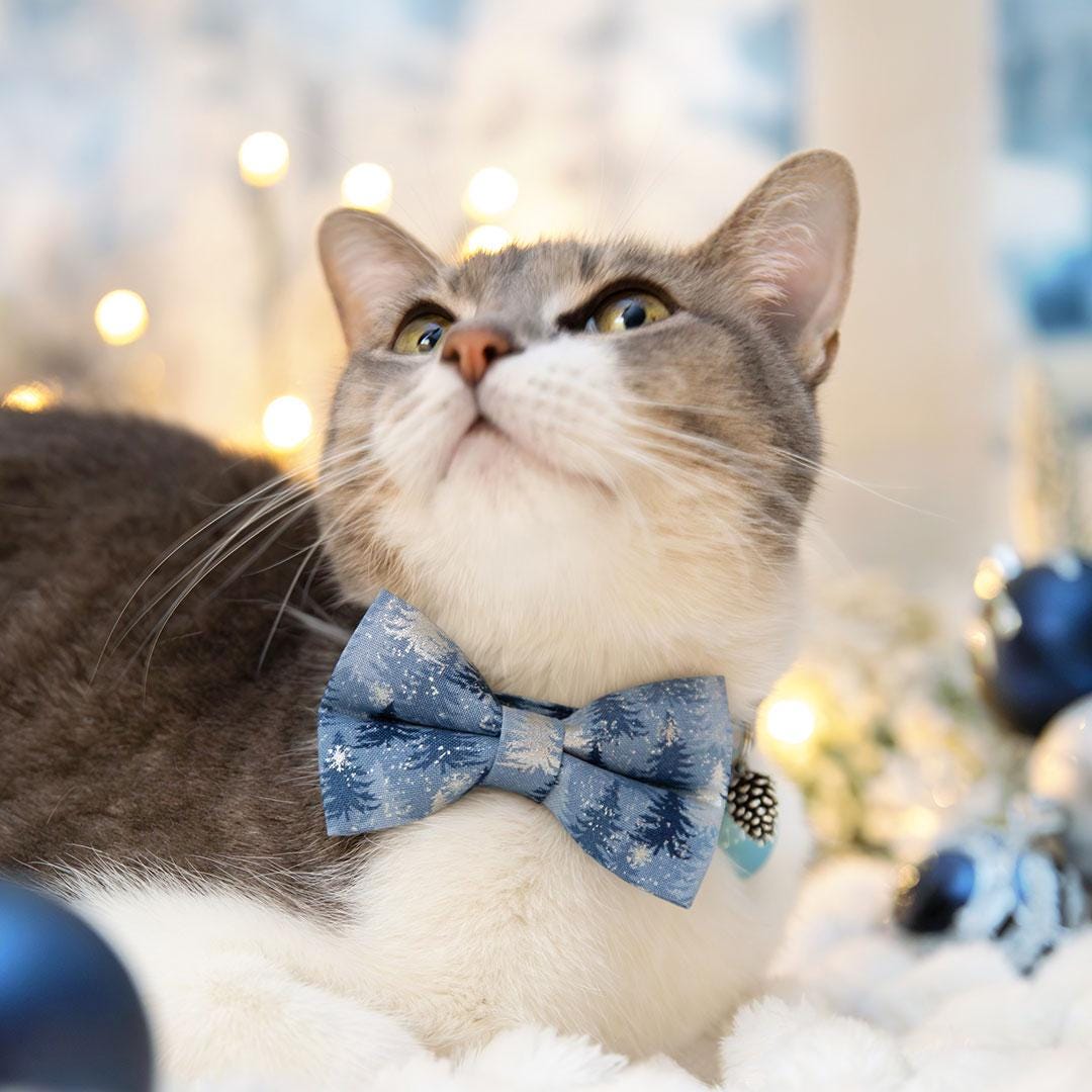 Winter Cat Bow Tie - "Blue Spruce" - Snowy Forest Bow Tie for Cat Collar / Solstice, Mountain Pine Trees, Snow / Cat, Kitten + Small Dog Bowtie