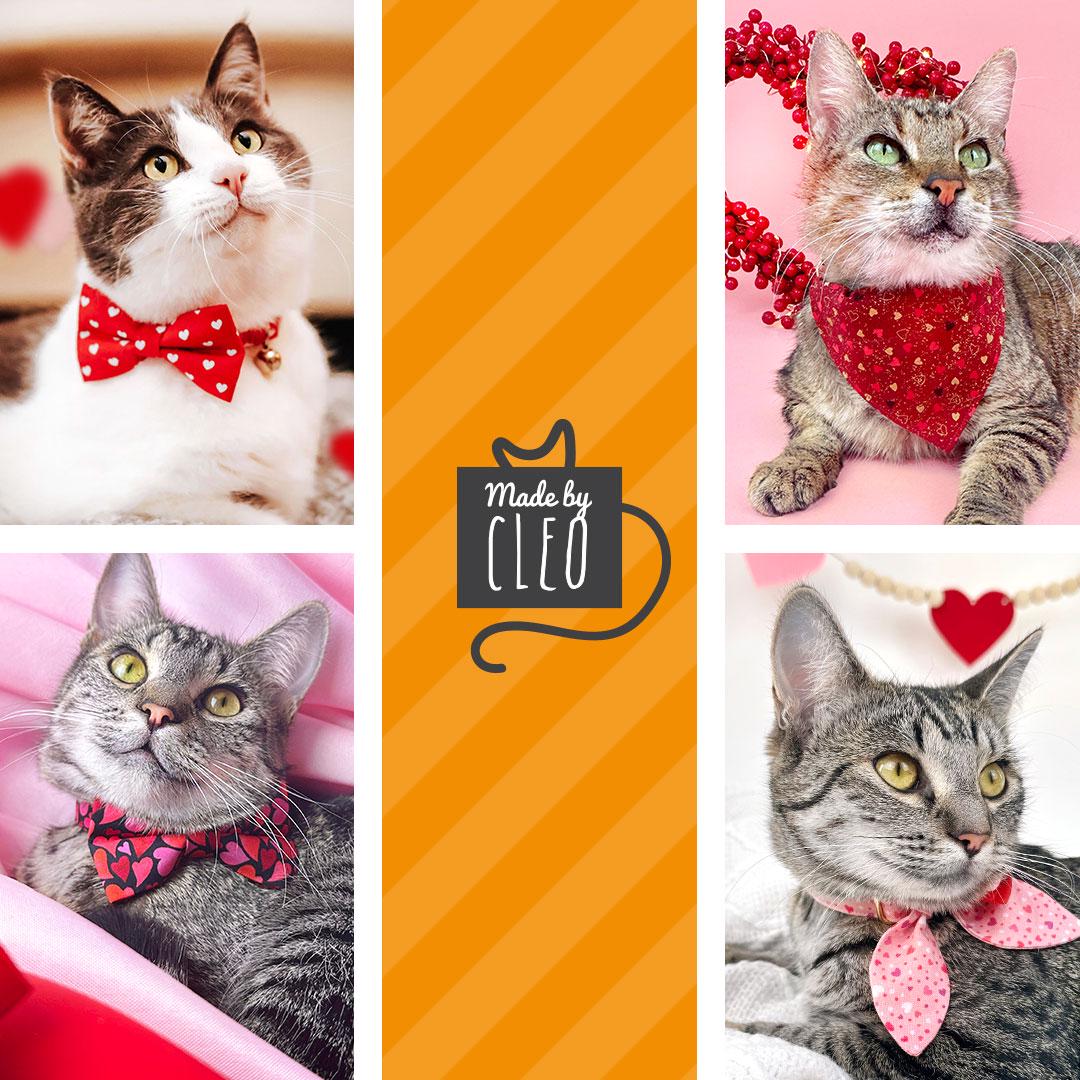 Cat Collar and Bunny Ear Bow Set - "Crush" - Red & Pink Heart Cat Collar w/ Matching Bunny Bow Tie / Valentine's Day / Tie-On Scarf / Cat, Kitten + Small Dog Sizes