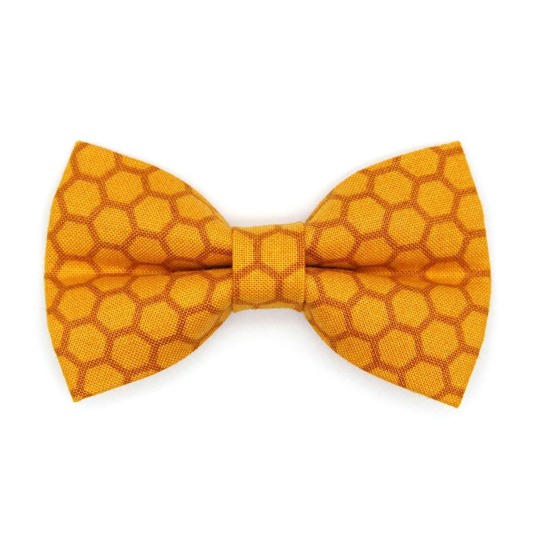 Honey Bow Tie + Cat Collar Set - "Honeycomb" - Yellow Cat Collar with Bow Tie / Bee Lover, Honeybee / Cat, Kitten, Small Dog Sizes