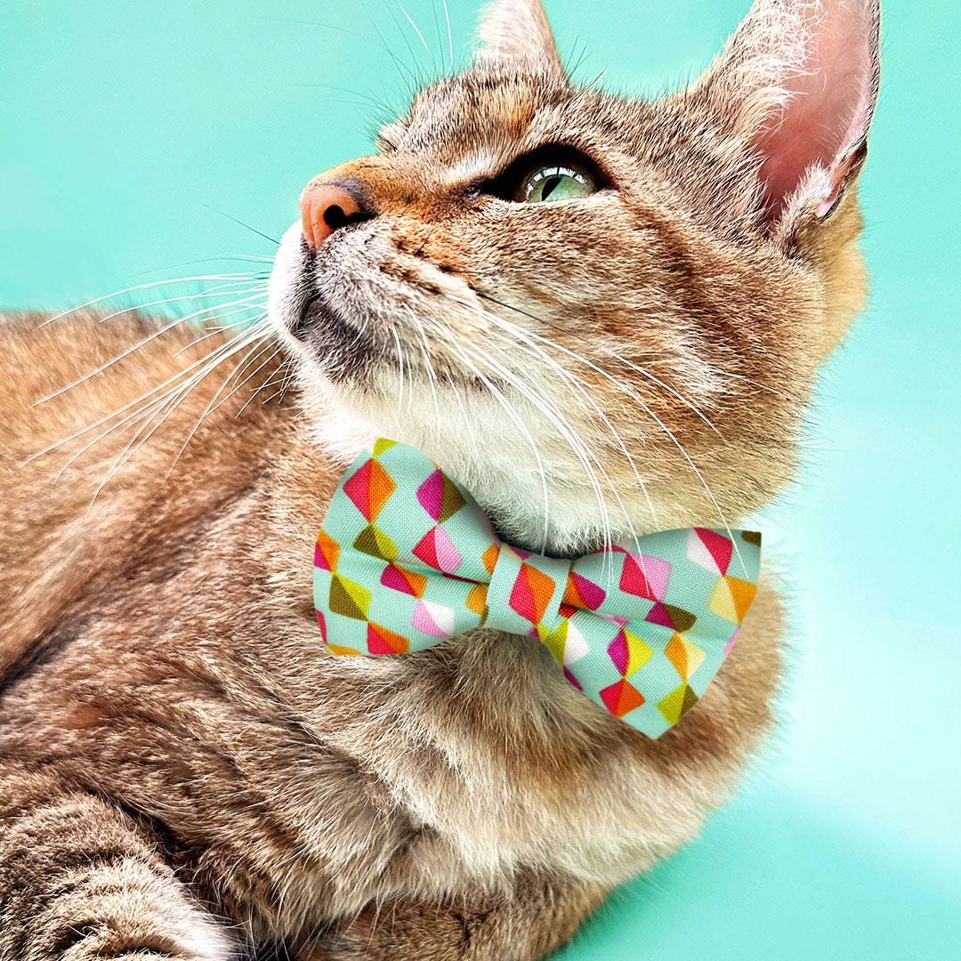 Kite Bow Tie + Cat Collar Set - "Kite Dreams" - Mint Cat Collar with Bow Tie / Arty, Modern, Fun / Cat, Kitten, Small Dog Sizes