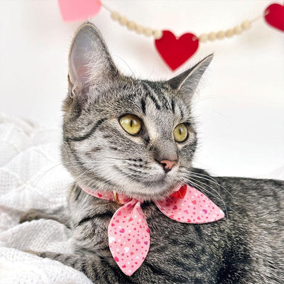 Heart Cat Collar - "Cupid Confetti" - Pink Cat Collar / Valentine's Day / Breakaway Buckle or Non-Breakaway / Cat, Kitten + Small Dog Sizes