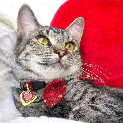 Cat Collar and Bunny Ear Bow Set - "Amour" - Red & Gold Heart Cat Collar w/ Matching Bunny Bow Tie / Valentine's Day / Tie-On Scarf / Cat, Kitten + Small Dog Sizes