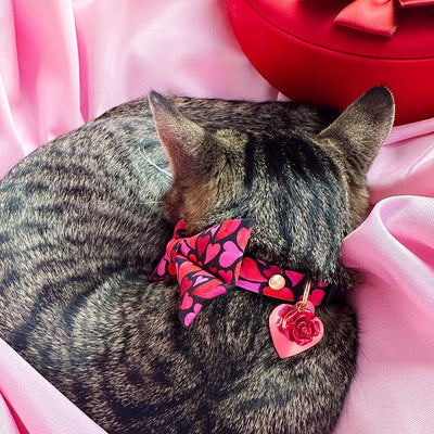 Heart Bow Tie Cat Collar Set - "Crush" - Valentine's Day Red & Pink Cat Collar with Bow Tie / Cat, Kitten, Small Dog Sizes