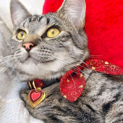 Cat Collar and Bunny Ear Bow Set - "Amour" - Red & Gold Heart Cat Collar w/ Matching Bunny Bow Tie / Valentine's Day / Tie-On Scarf / Cat, Kitten + Small Dog Sizes