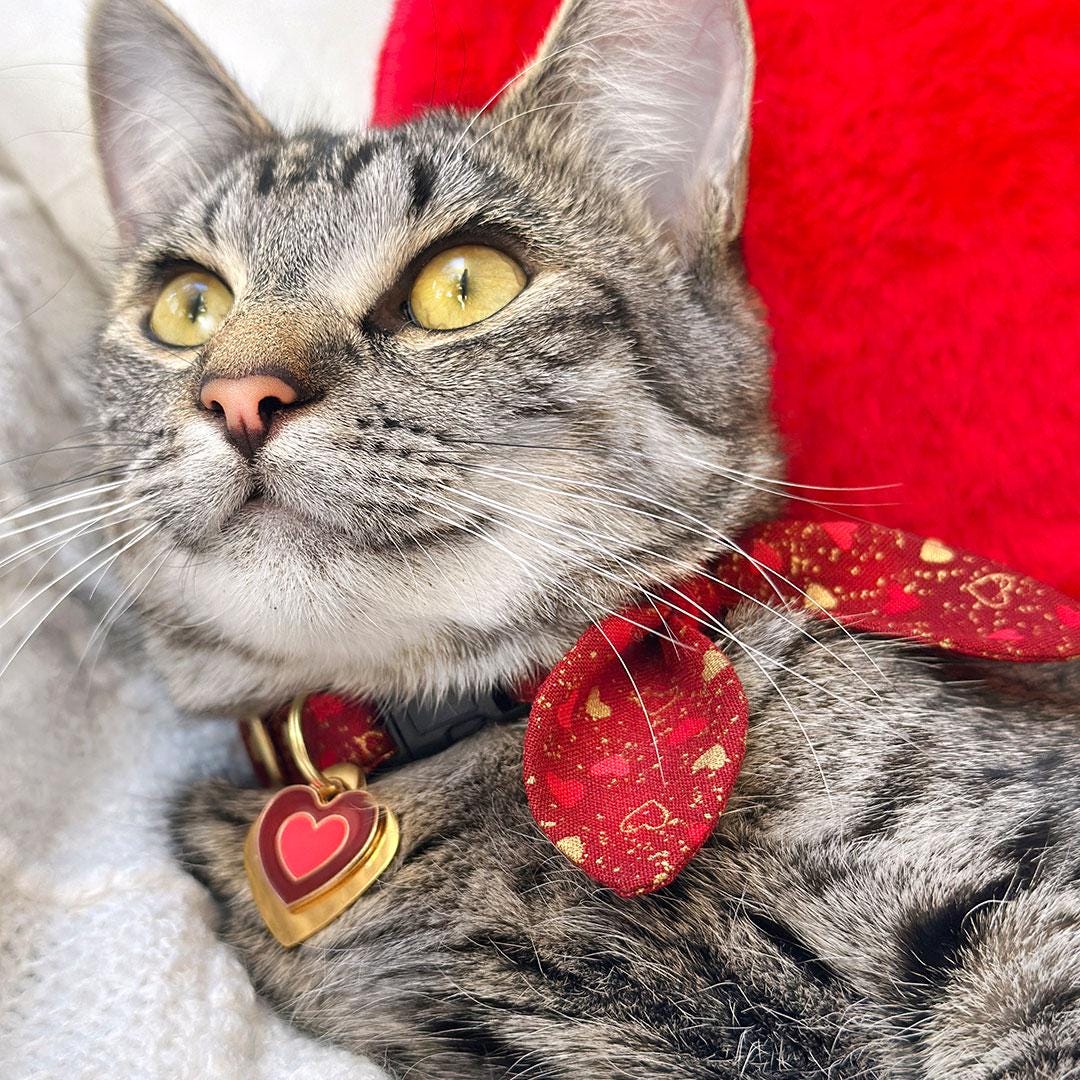Heart Cat Collar - "Amour" - Red & Gold Cat Collar / Valentine's Day / Breakaway Buckle or Non-Breakaway / Cat, Kitten + Small Dog Sizes