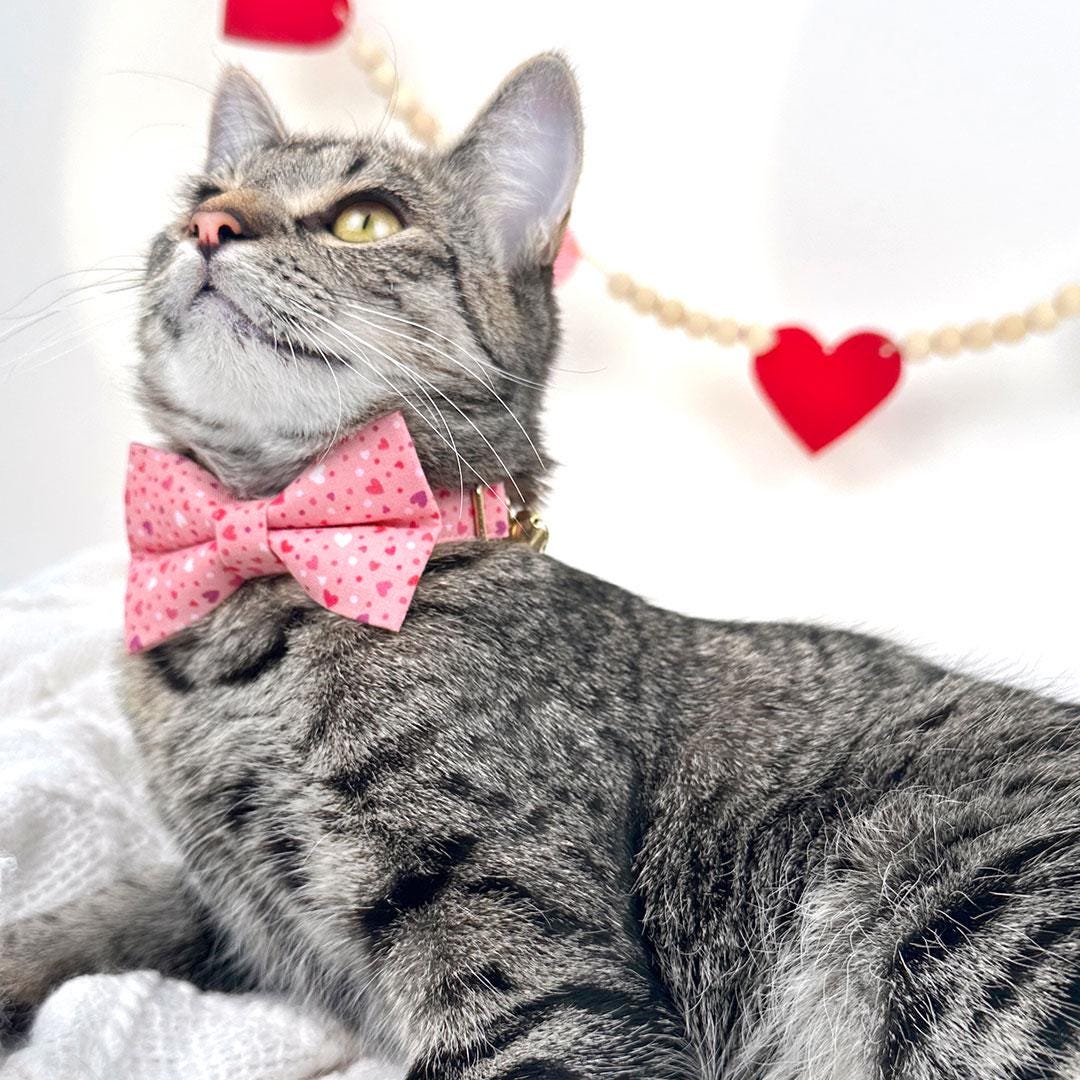 Heart Cat Bow Tie - "Cupid Confetti" - Pink Valentine's Day Bow Tie for Cat Collar / Cat, Kitten + Small Dog Bowtie