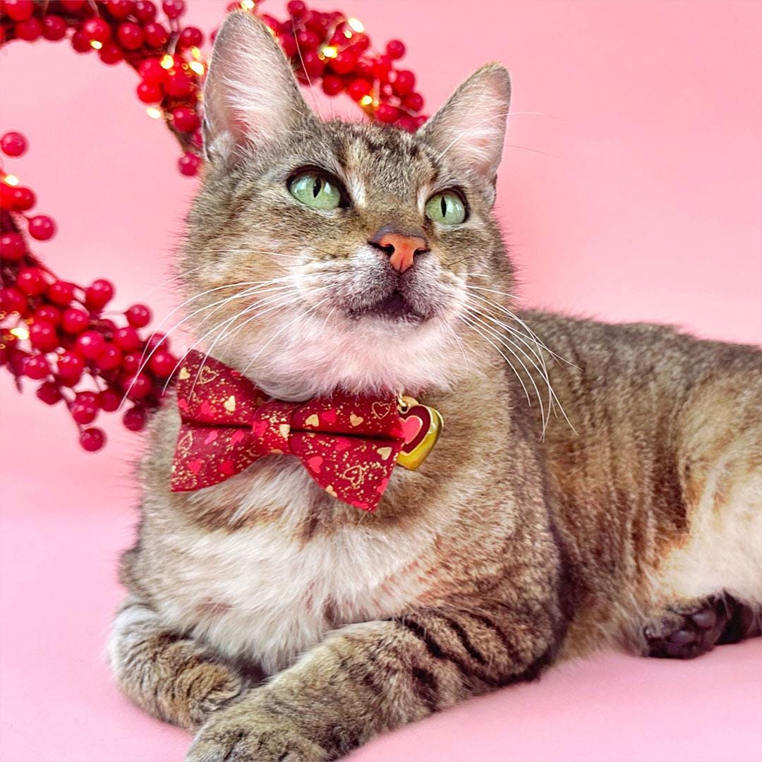 Heart Cat Bow Tie - "Amour" - Burgundy, Gold & Red Heart Bow Tie for Cat Collar / Valentine's Day / Cat, Kitten + Small Dog Bowtie