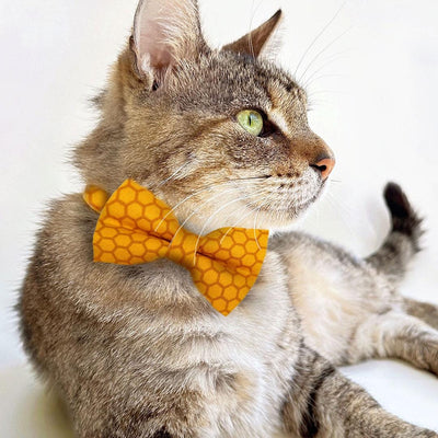 Bee Lover Cat Bow Tie - "Honeycomb" - Honey Yellow Bow Tie for Cat Collar / Cat, Kitten + Small Dog Bowtie