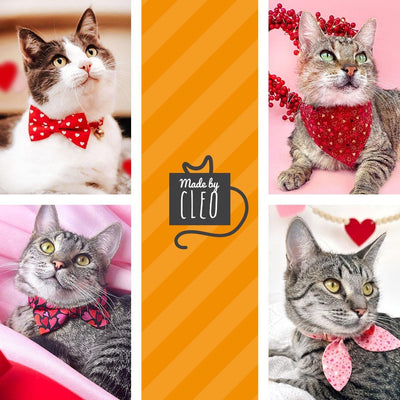 Heart Cat Collar + Flower Set - "Amour" - Valentine's Day Red & Gold Cat Collar w/ Scarlet Red Felt Flower (Detachable) / Cat, Kitten + Small Dog Sizes